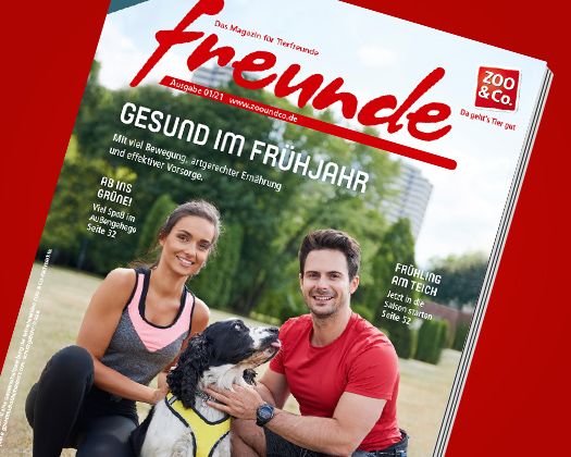 freunde-Magazin 01/2021